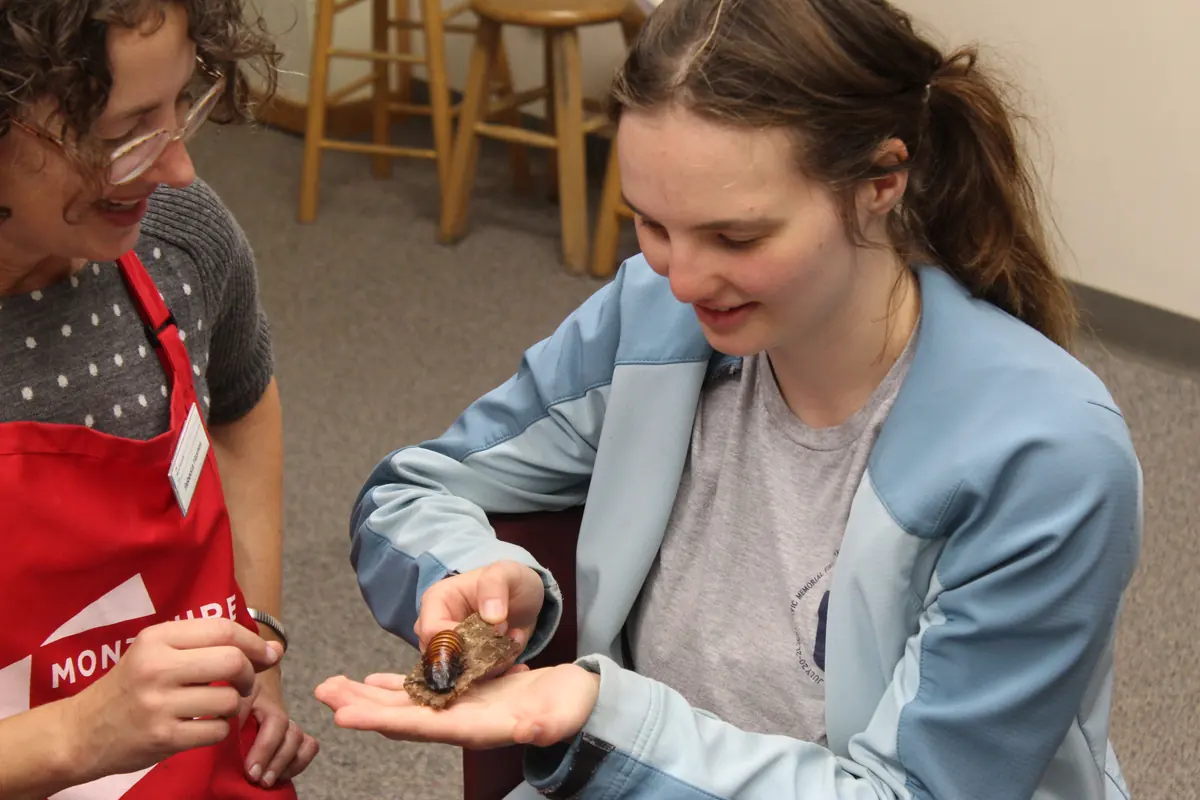A participant holding a giant cockroach on a piece of bark during a hands-on science lesson